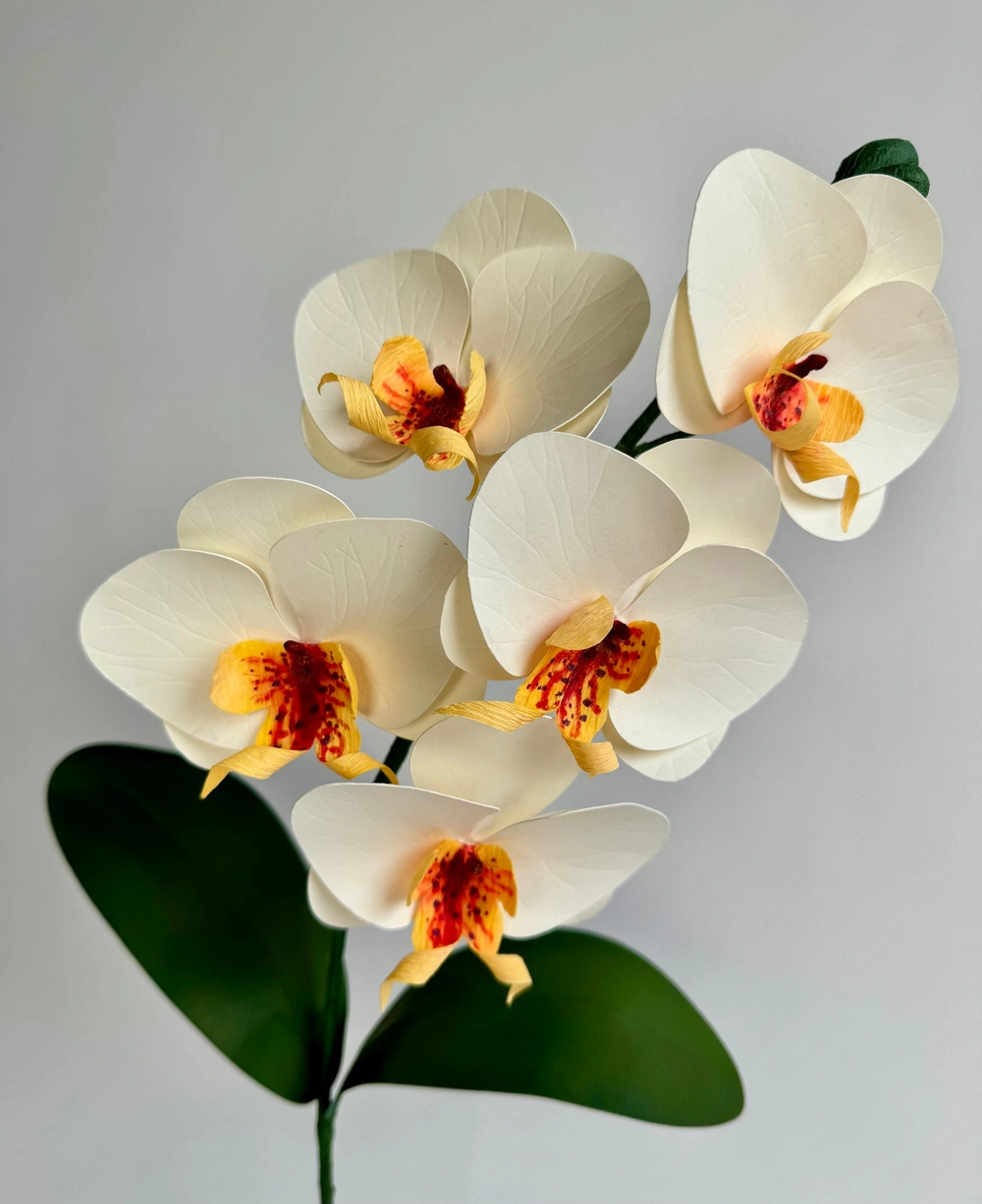 Phalaenopsis Orchid Single Stem | Handcrafted Paper Flower